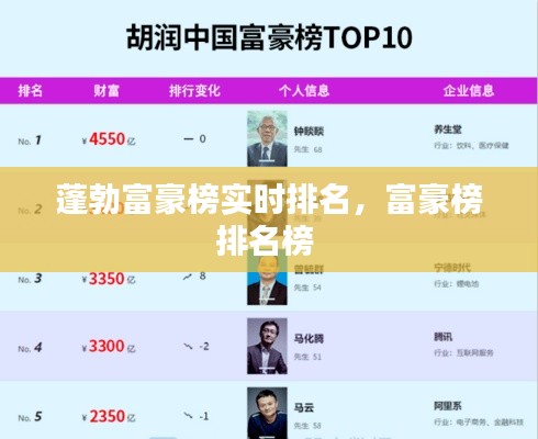 蓬勃富豪榜实时排名,富豪榜排名榜