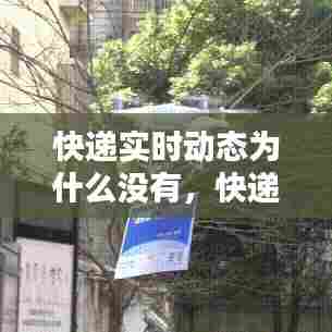 快递实时动态为什么没有,快递查不到动态