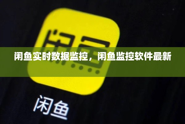 闲鱼实时数据监控,闲鱼监控软件最新