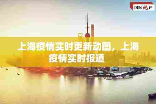 上海疫情实时更新动图,上海疫情实时报道