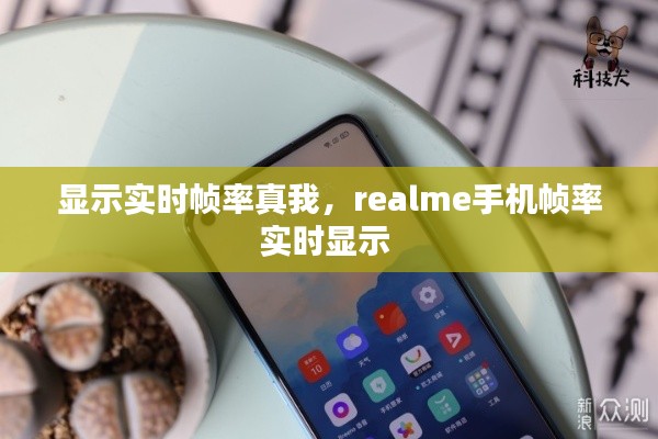 显示实时帧率真我,realme手机帧率实时显示