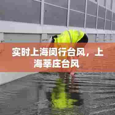 实时上海闵行台风,上海莘庄台风