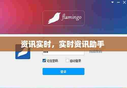 资讯实时,实时资讯助手