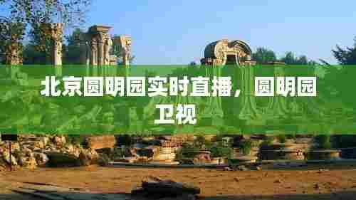 北京圆明园实时直播,圆明园卫视