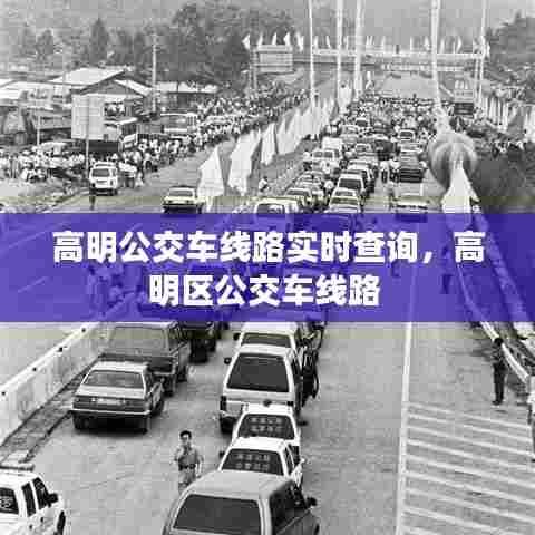 高明公交车线路实时查询,高明区公交车线路