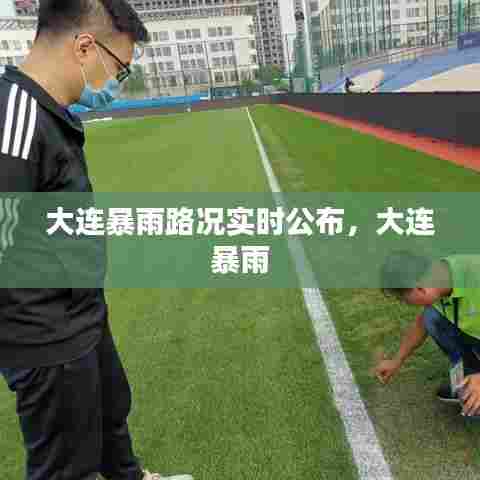 大连暴雨路况实时公布,大连 暴雨