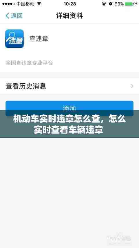 机动车实时违章怎么查,怎么实时查看车辆违章