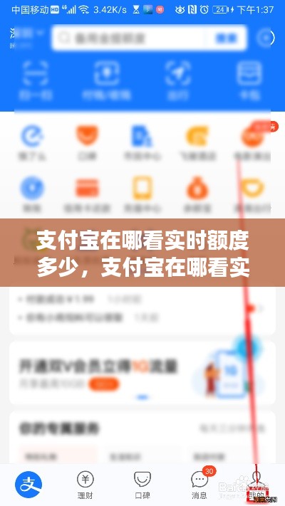 支付宝在哪看实时额度多少,支付宝在哪看实时额度多少了