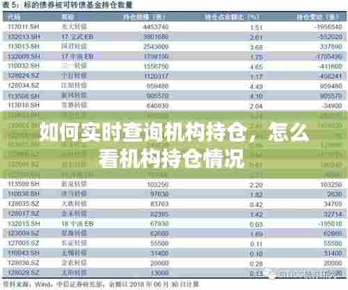 如何实时查询机构持仓,怎么看机构持仓情况