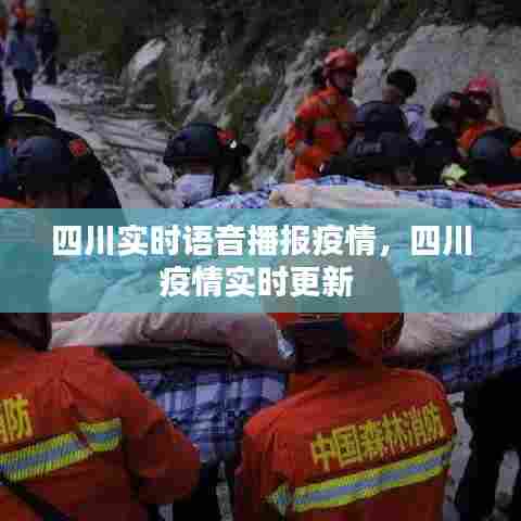 四川实时语音播报疫情,四川疫情实时更新
