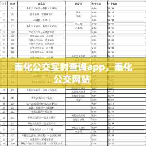 奉化公交实时查询app,奉化公交网站