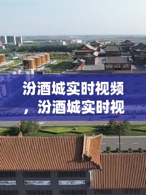 汾酒城实时视频,汾酒城实时视频回放