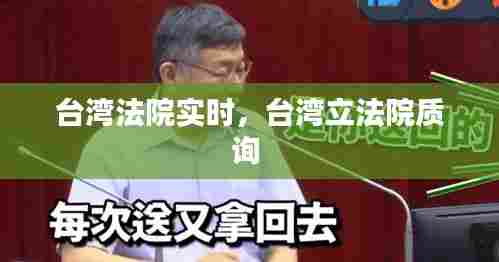 台湾法院实时，台湾立法院质询 