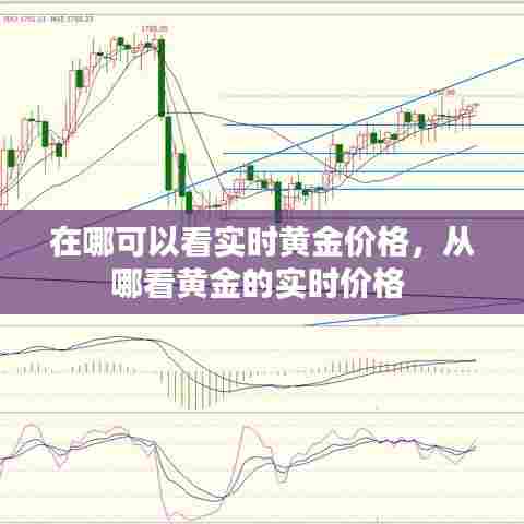 在哪可以看实时黄金价格,从哪看黄金的实时价格