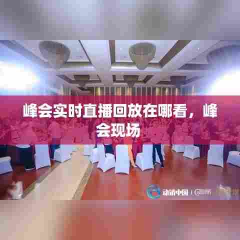 峰会实时直播回放在哪看,峰会现场
