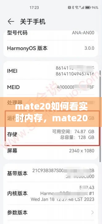 mate20如何看实时内存,mate20怎么看内存