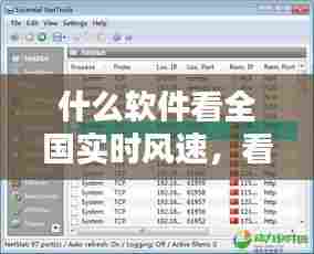 一言九鼎 第8页