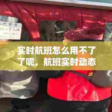 实时航班怎么用不了了呢,航班实时动态跟踪显示