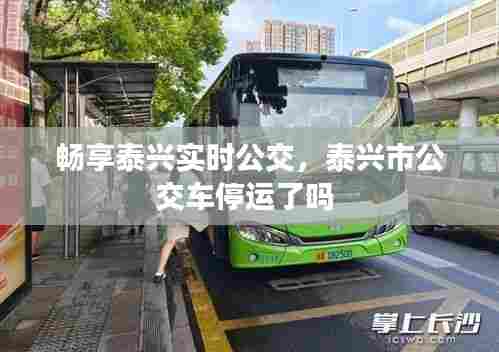 畅享泰兴实时公交,泰兴市公交车停运了吗