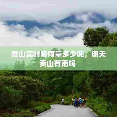 贡山实时降雨量多少吨,明天贡山有雨吗