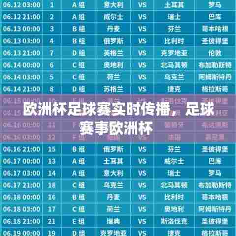 欧洲杯足球赛实时传播,足球赛事欧洲杯