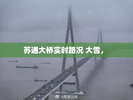 苏通大桥实时路况 大雪,
