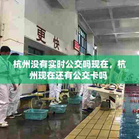 杭州没有实时公交吗现在,杭州现在还有公交卡吗