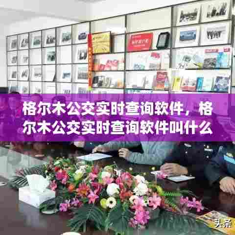 格尔木公交实时查询软件，格尔木公交实时查询软件叫什么 