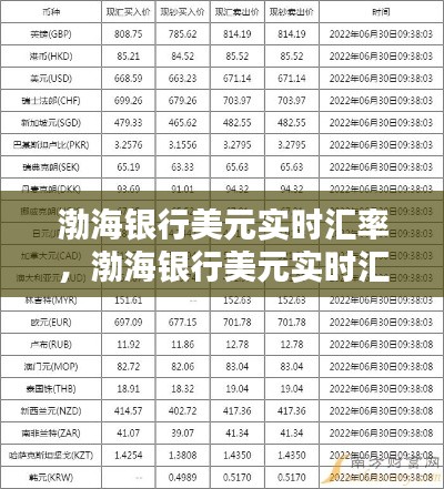 渤海银行美元实时汇率,渤海银行美元实时汇率表