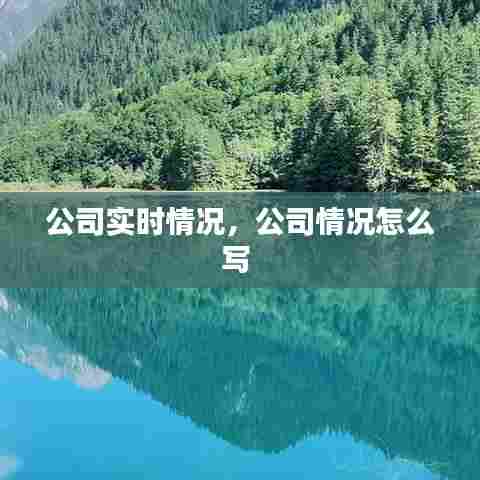 公司实时情况,公司情况怎么写