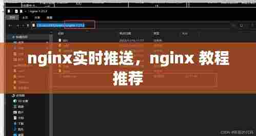 nginx实时推送，nginx 教程 推荐 