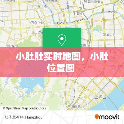 小肚肚实时地图,小肚位置图