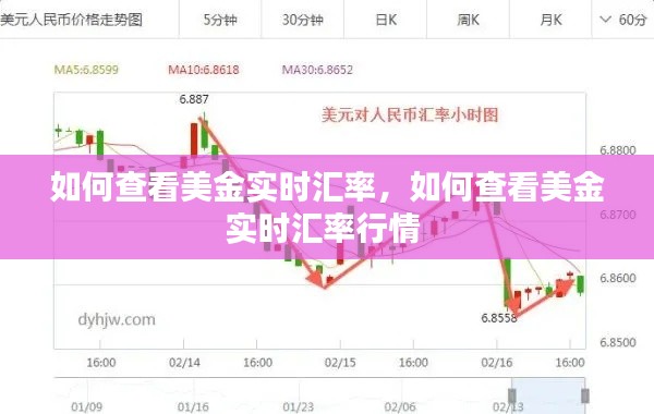 如何查看美金实时汇率，如何查看美金实时汇率行情 