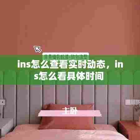 ins怎么查看实时动态，ins怎么看具体时间 
