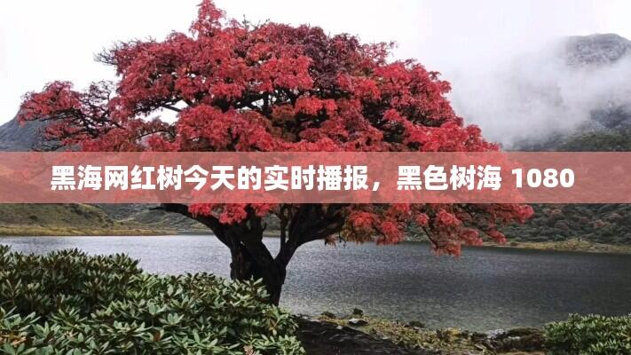 张口结舌 第7页