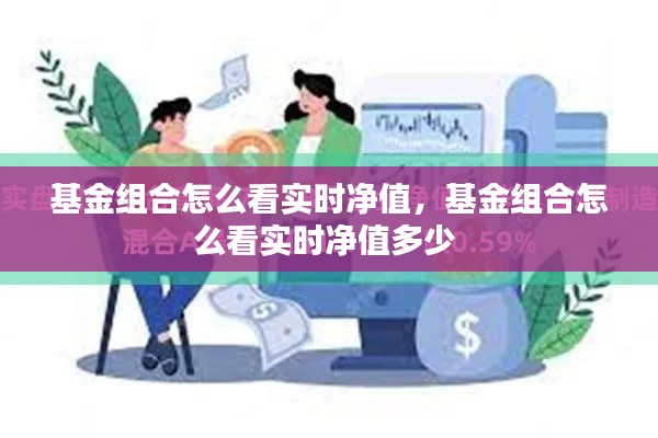 基金组合怎么看实时净值,基金组合怎么看实时净值多少