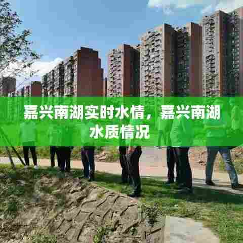 嘉兴南湖实时水情,嘉兴南湖水质情况