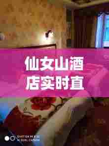 仙女山酒店实时直播回放,仙女山酒店实时直播回放在哪看