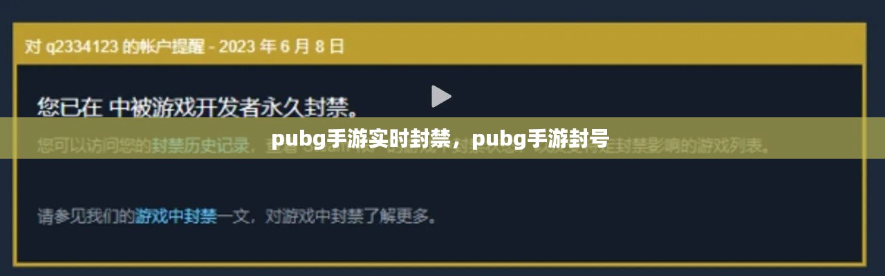 pubg手游实时封禁,pubg手游封号