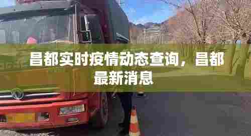 昌都实时疫情动态查询,昌都最新消息