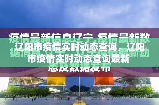 辽阳市疫情实时动态查询,辽阳市疫情实时动态查询最新