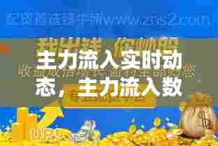主力流入实时动态,主力流入数据可信吗