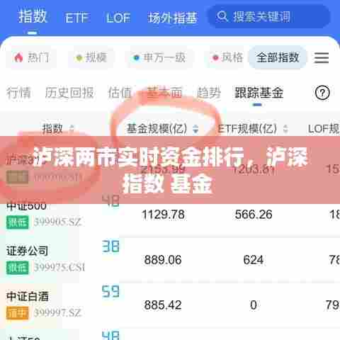 泸深两市实时资金排行,泸深指数 基金