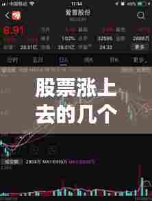 股票涨上去的几个实时图,股票上涨行情图