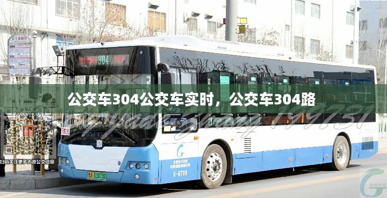 公交车304公交车实时,公交车304路