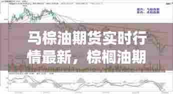 炊粱跨卫 第7页