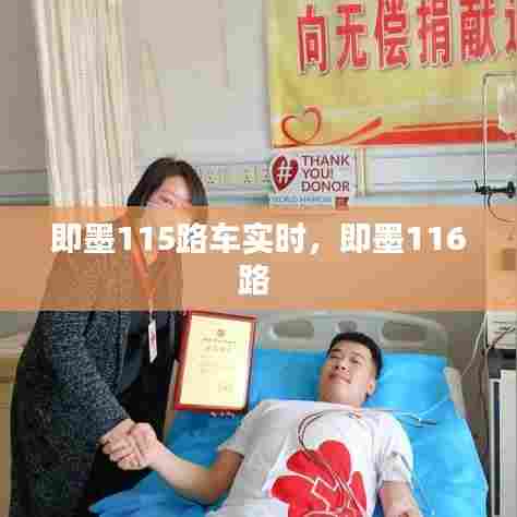 即墨115路车实时,即墨116路