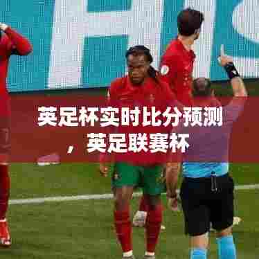 英足杯实时比分预测,英足联赛杯