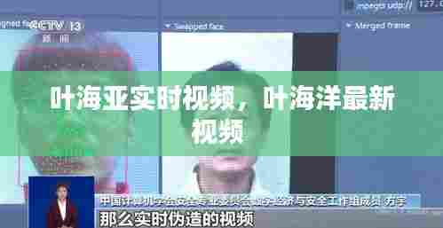 叶海亚实时视频,叶海洋最新视频