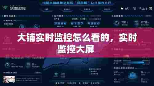 大铺实时监控怎么看的,实时监控大屏